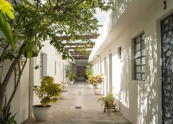 El Tigre De Santiago